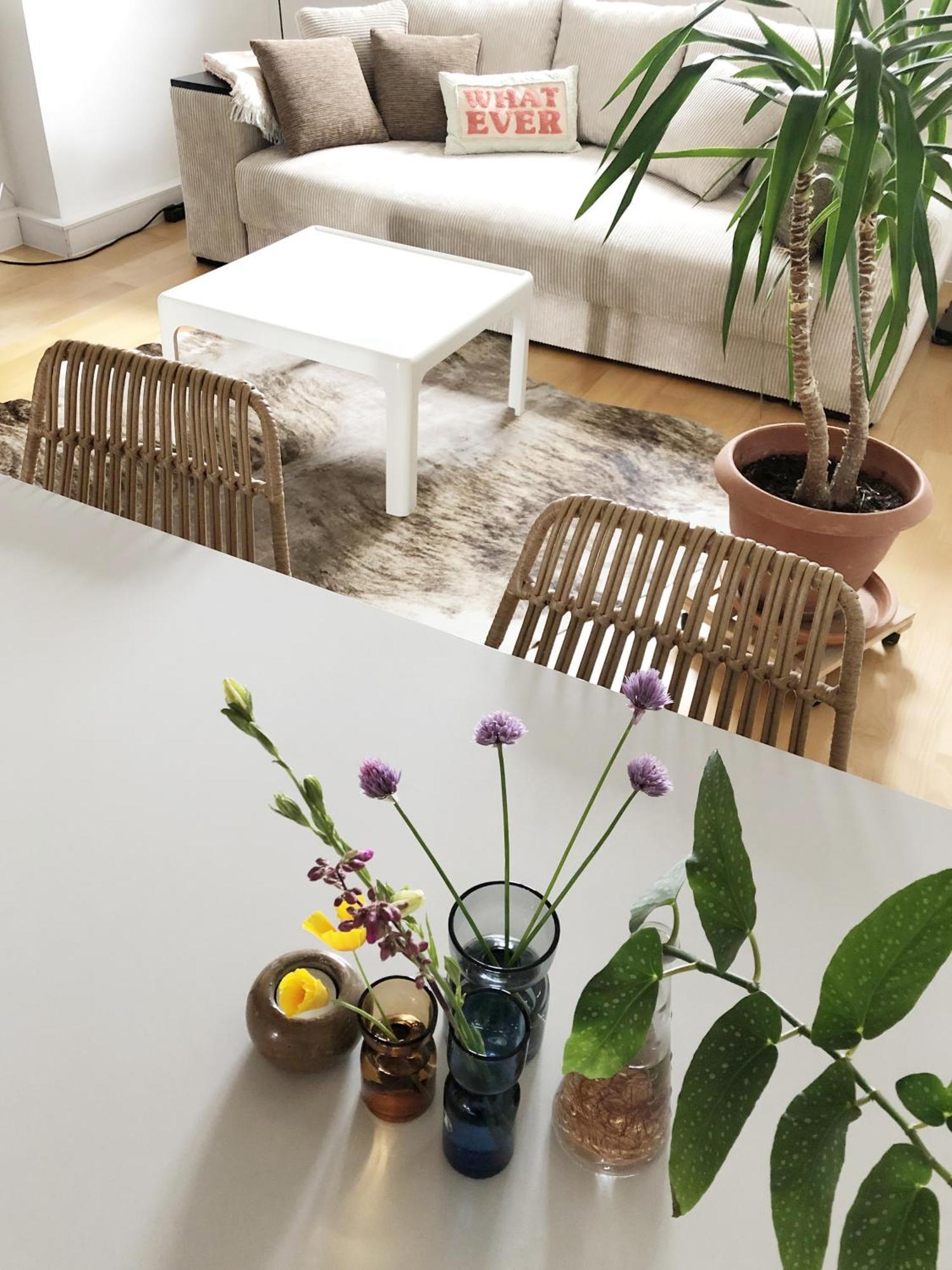 Apartment Friedas Haus Naehe Golfplatz *